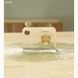 Retro Crystal and Brass Camera Showpiece