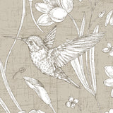 Humming Bird Clay - DG648