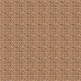 Twil Braided Cane - DG183