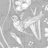 Humming Bird Grey - DG646