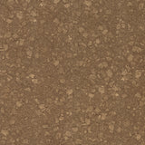 Stellar Bronze - 1671