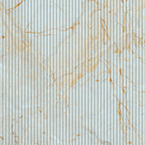 Calacatta Gold Flute Petite - DG626