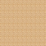 Flat Braid Weave - DG185