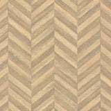 Warm Smoked Chevron - 5180