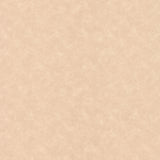 Champagne Leather - 9554