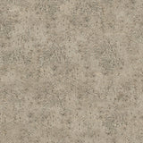 Rustic Lasa - DG206