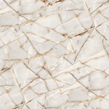 Blanco Valencia - DG210