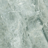 Pacific Grey - DG644