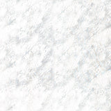 Triton Light - ART574