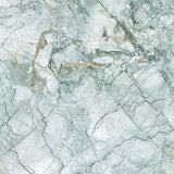 Grey Emperor - DG204