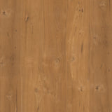 Latvia Birch - DG302