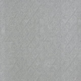 Robust Silver - 8048