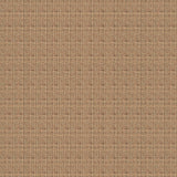 Biaxial Cane - DG187