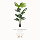 Artificial Plants