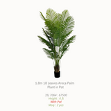 Artificial Plants