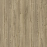 14586 Narrow Leaved Elm Decorative Laminate
