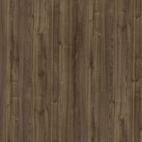 14587 Smooth Leaved Elm Decorative Laminate