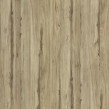 14672 Cleeve Baltic Elm Decorative Laminate