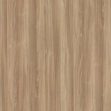 14686 Fondle Samsara Maple Decorative Laminate