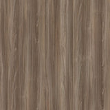 14687 Clammy Samsara Maple Decorative Laminate