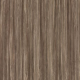 14809 Russet Tropical Decorative Laminate