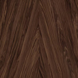 15132 Scamper Vertex Decorative Laminate