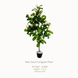 Artificial Plants