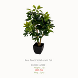 Artificial Plants