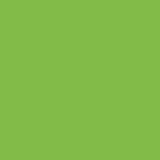 21143 Parrot Green Decorative Laminate