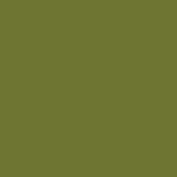 21163 Lime Decorative Laminate