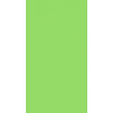 251 - Bright Green High Definition Gloss (HDG) Laminate
