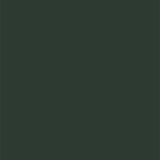 27113 Aquagreen Decorative Laminate