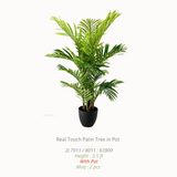 Artificial Plants