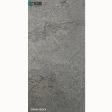 Opaque Stone Veneer - Silver Rock