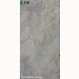Opaque Stone Veneer - Roma White Marble