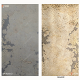 Translucent Stone Veneers