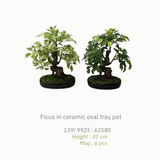 Artificial Plants