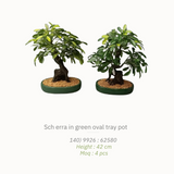 Artificial Plants