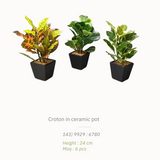 Artificial Plants