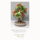 Artificial Plants