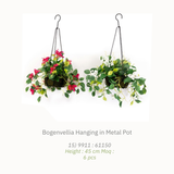 Artificial Plants