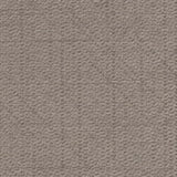 46249 Grey Reed Decorative Laminate