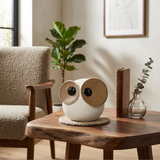 Big Eyed Owl B
