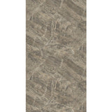 5583 Visconti Jupiter (JUP) Laminate