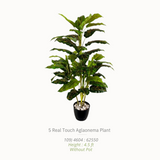 Artificial Plants