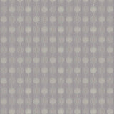 85104 Sanskriti Syama Decorative Laminate