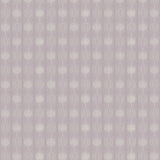 85105 Sanskriti Decorative Laminate