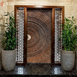 Customised Door Skin