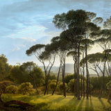 Umbrella pines Landscape wallpaper for living room & hospitality interiors | MWA-LWZ-252