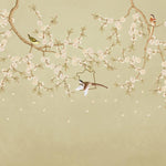 Cherry Blossom Birds Botanical wallpaper for dining room & bedroom interiors | MWA-LWZ-275